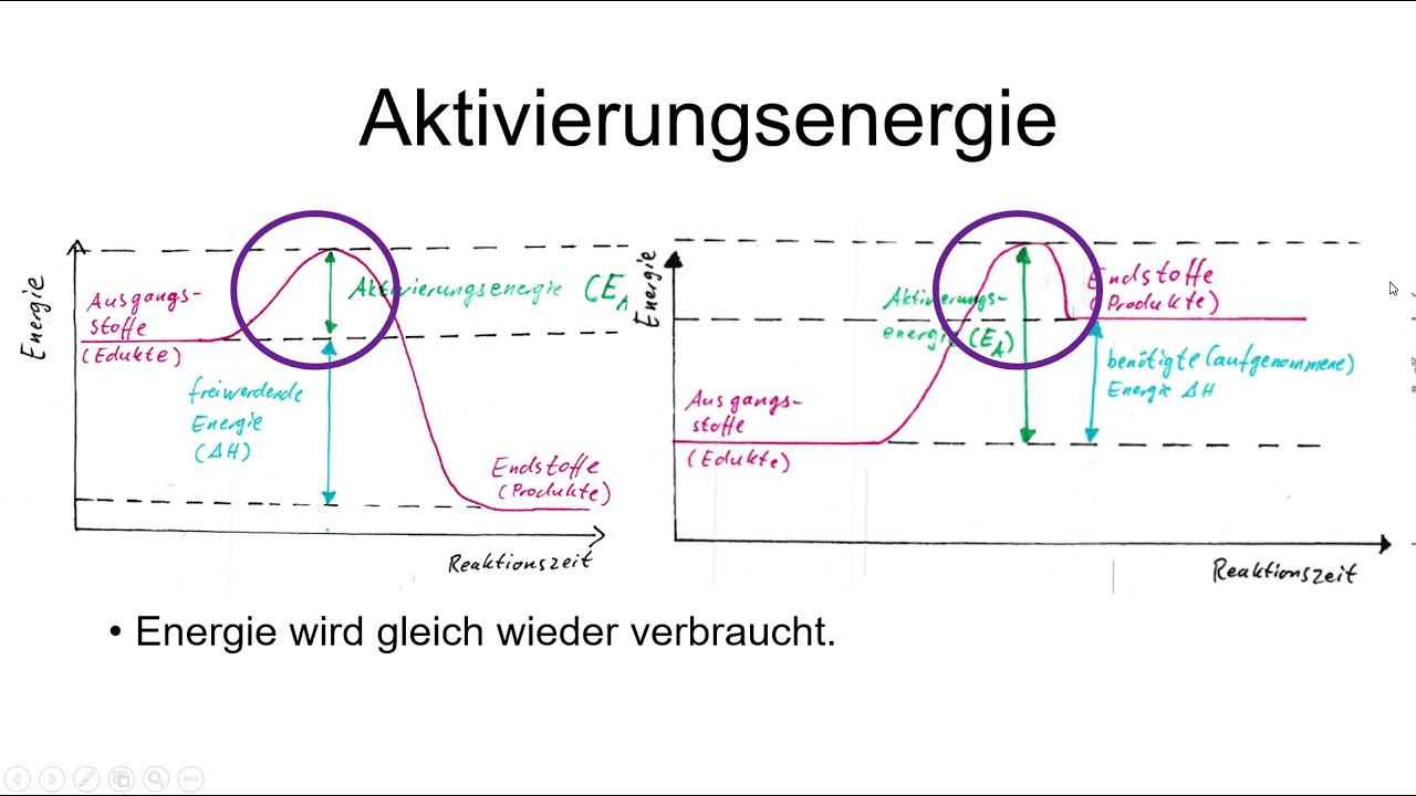 Exotherm Exotherme Und Endotherme Reaktionen Übungen – Leo Löwchen