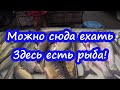 2.97  Можно сюда ехать - здесь есть рыба