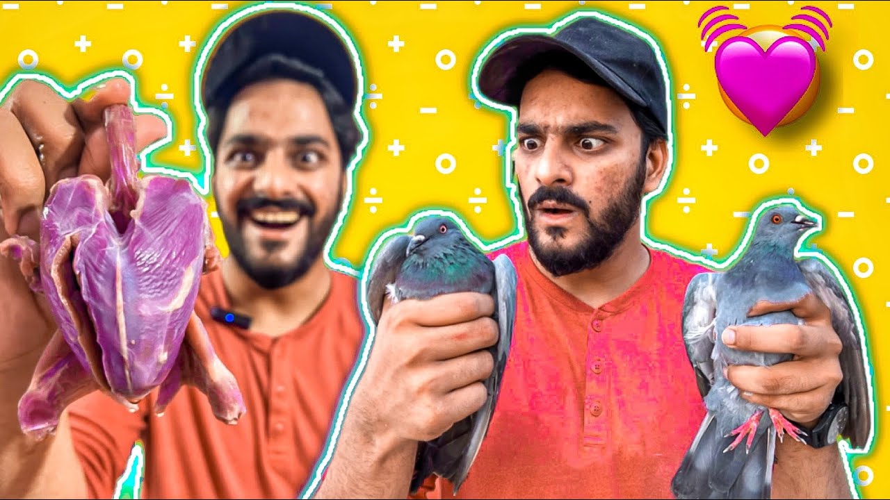 Kabootar Halal Kar Kay Roast Bna lia Alhamdulillah 😍