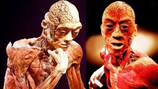 Bones are stronger than steel | Facts about Human