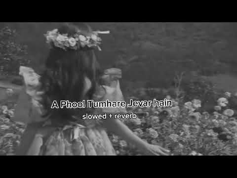 Rab Hasta Hua Rakhe Tumko | Har Aaina Tumko dekhe | Slowed + reverbs song