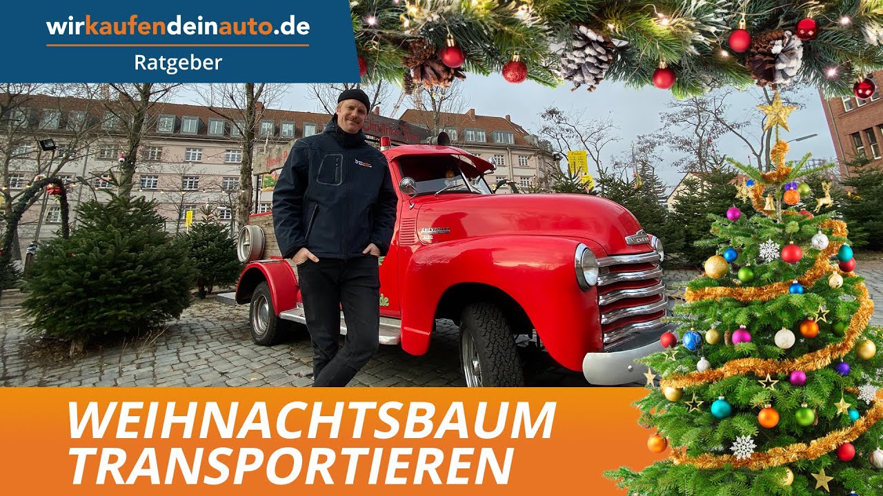 Mit dem Auto den Weihnachtsbaum transportieren