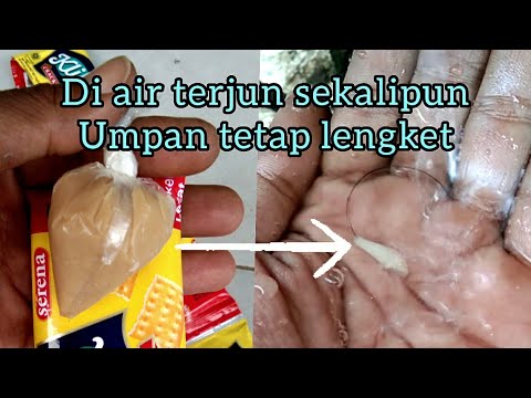 Umpan Ikan Wader Pakai Nabati