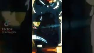 São zap
