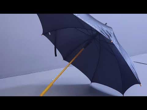 Video: Graciøse Paraplyer Av Astrania. Bekjent