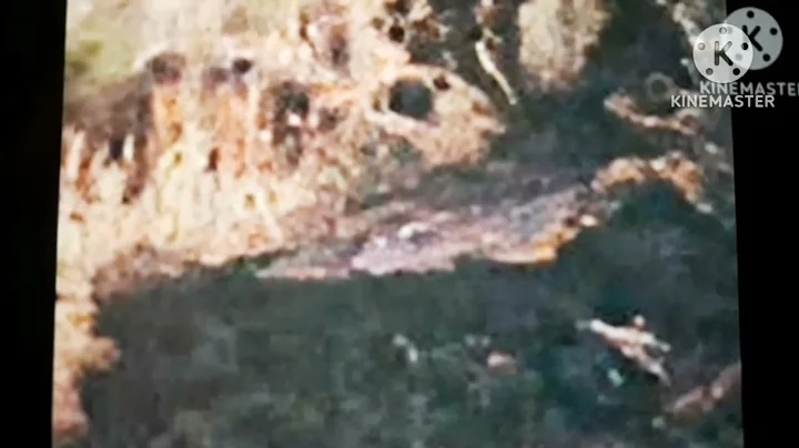 La Noia de Portbou/Evi Rauter-All The Evidence Is On That Hill