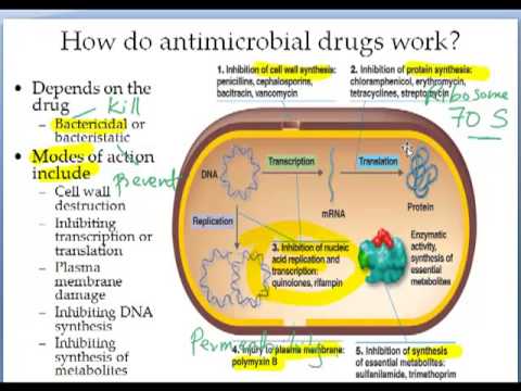 Image result for antimicrobial
