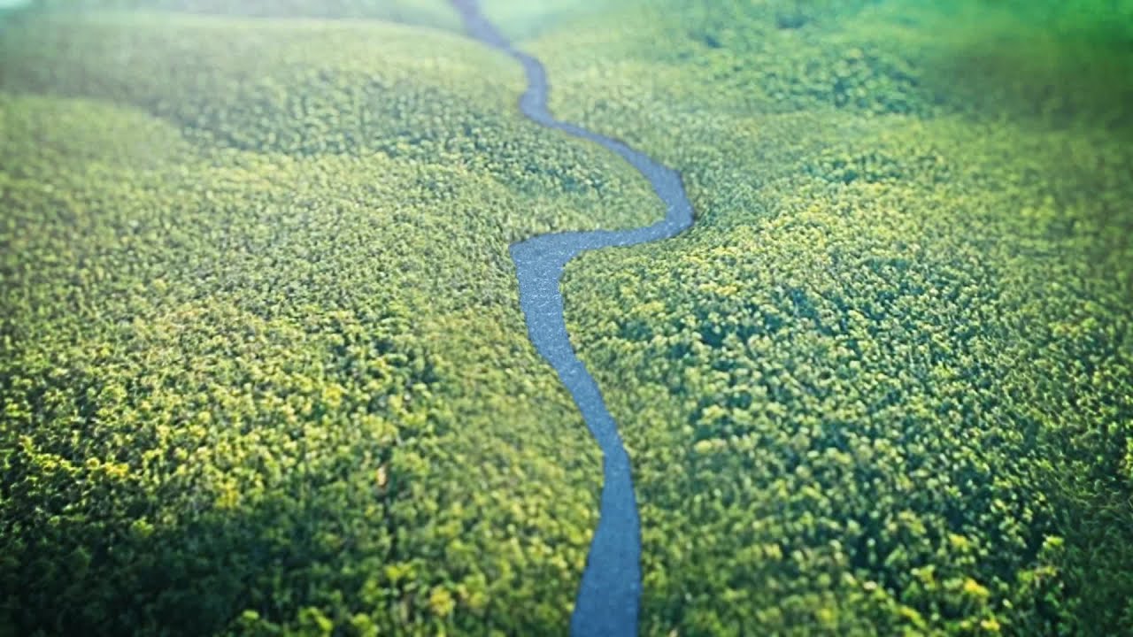 Amazon deforestation increasing under Bolsonaro's government