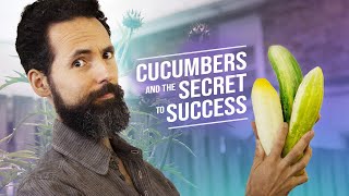 Growing CUCUMBERS and the SECRET to SUCCESS - SEED to HARVEST Garden Documentary -