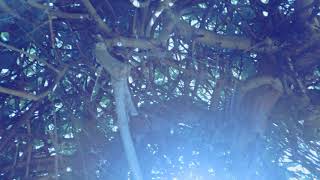 Beat Jungi Prod. Nintnt