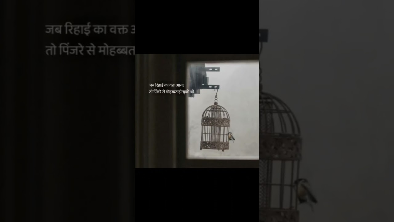 jab rihai ka waqt aya 