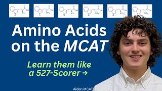 Amino Acids on the MCAT (Explained by 527 Scorer)