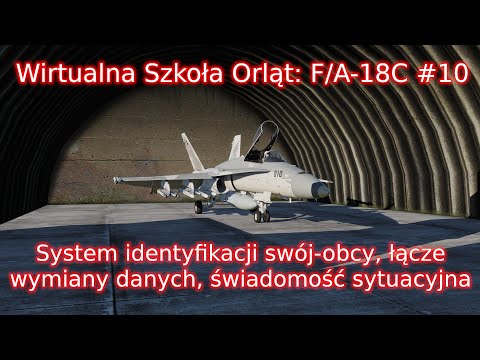 Wirtualna Szkoła Orląt: F/A-18C #10 - System IFF, Datalink, świadomość sytuacyjna