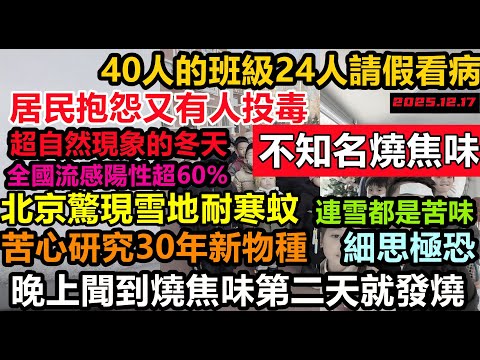 北京驚現雪地耐寒蚊，全國各地同時出現不知名燒焦味，第二天就發燒不能動彈，全國甲流陽性超60%，好不容易存點錢又被清零，#無人機噴曬#不知名燒焦味#耐寒蚊研究30年