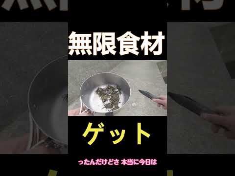 磯は食糧庫！！#shorts  #穴釣り #釣り#カニ ＃磯