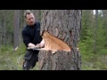 Medeltida träklyvning – ett försök att återskapa hantverkskunskap, 6 minuter.