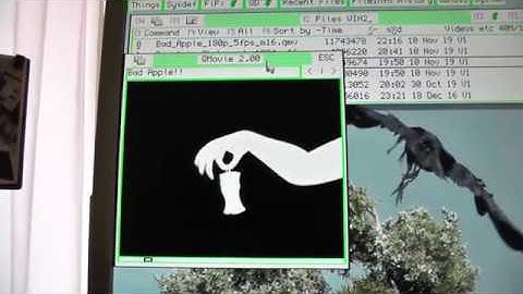 Bad Apple with QMovie on QL/E on Q68 (Sinclair QL compatible machine)