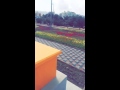 شارع الفن ابها