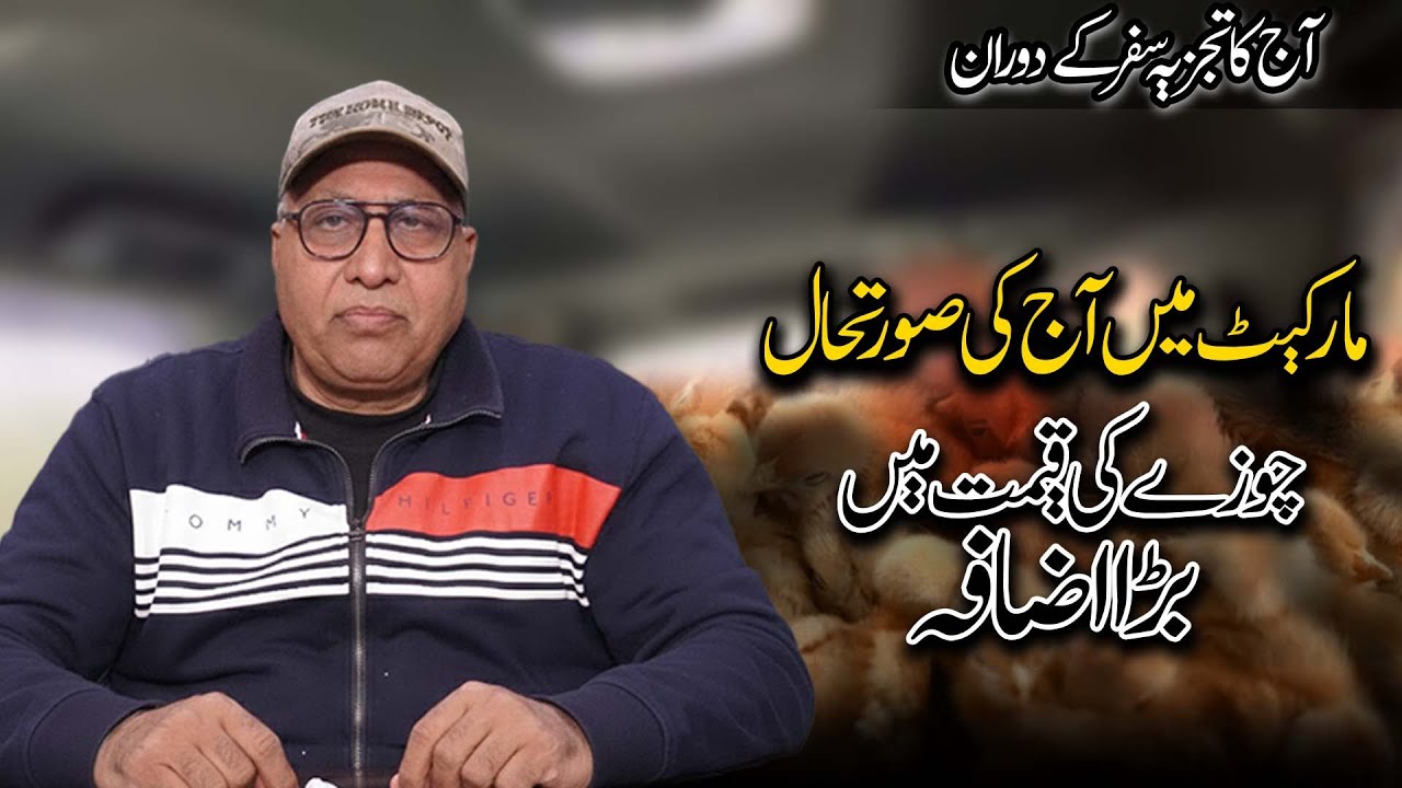 Aaj Ka Tajziya | Today Chicken Rate | Tolinton Market | Mian Tariq Javed