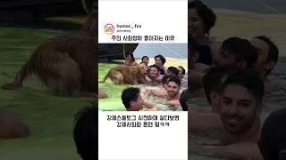 리트리버 키우면 주인사회성 좋아지는이유 #shorts #리트리버