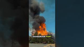 What Would You Save First? 🔥😳 #dangerous #fire #nature