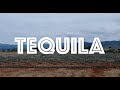 How to Visit Tequila Mexico | Unlimited Tastings!!! | Tour of Tequila