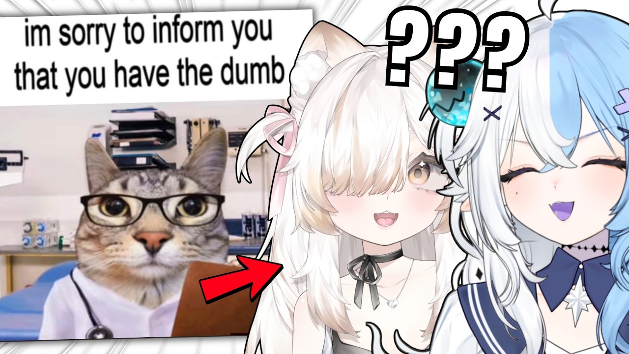 My Chat made us to look at their Memes but our INTELLIGENCE got INSULTED instead