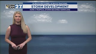 Hurricane Storm Development