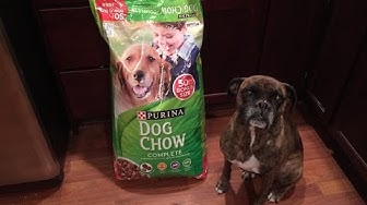 Purina Youtube
