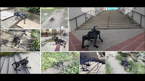 Learning Visual Locomotion with Cross-Modal Supervision