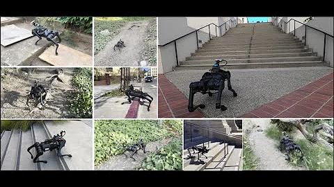 Learning Visual Locomotion with Cross-Modal Supervision
