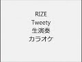 RIZE Tweety 生演奏 カラオケ Instrumental cover