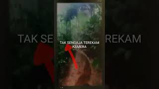 Download Lagu trabas horor solo trail adventure hutan angker #shorts trabas #shorts trail MP3