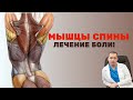 Мышцы спины и лечение боли!