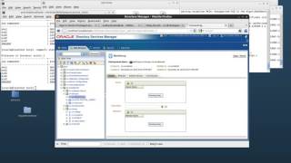 HOW TO  Configure Oracle OPAM 11gR2 with OID LDAP 11g screenshot 2