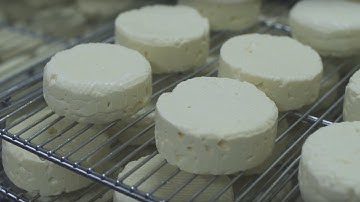 AutoJet® MiniFogger® Humidification System