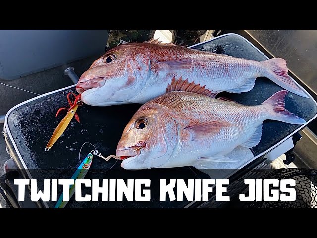 Twitching KNIFE jigs for SNAPPER, SUSTANIABLE FISHING