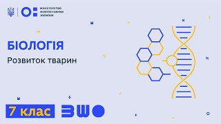 картинка: 7 клас. Біологія. Розвиток тварин