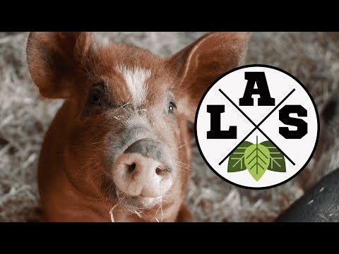 liberty-animal-sanctuary