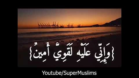 القارئ إسلام صبحي - سورة النمل  حاله واتس اب