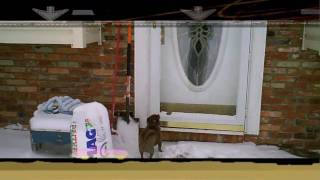 11.wmv