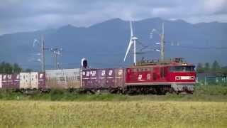 4096レ EF510-12 東能代〜南能代信 2015 0920