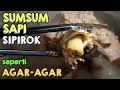 MENCARI SUMSUM SAPI SELEMBUT AGAR-AGAR DI SIPIROK | Kuliner Padangsidimpuan - Tapanuli Selatan