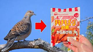 I tried deep-frying a whole turtle dove - YouTube