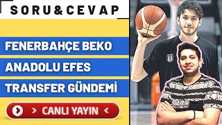 Sorucevap Fenerbahçe Beko Transfer Haberleri Anadolu Efes Transfer Haberleri Basketbol Gündem