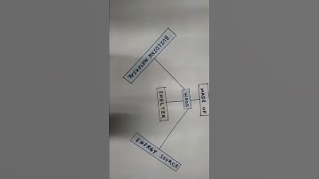 CONCEPT MAPPING - E.V.S