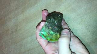 IMG 4726
