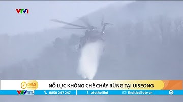 Hàn Quốc nỗ lực khống chế cháy rừng tại Uiseong | VTVWDB