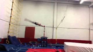 Antonio Castro Gymnastics Wealth