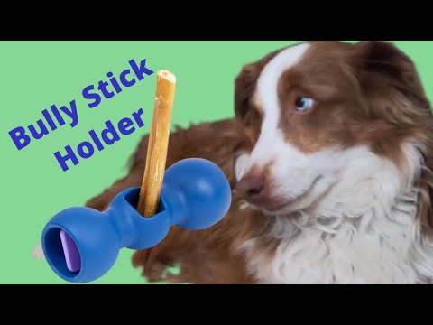 Video: Tongkat Bully Terlalu Bau? Anjing Anda Akan Sama-Sama Mengunyah Keju Aneh Ini